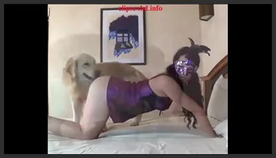 The Girl in the Purple Dress and the White Dog