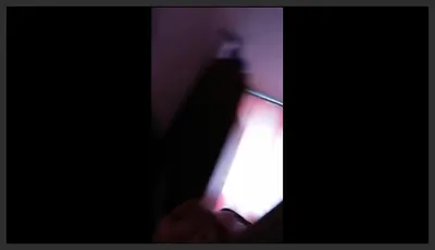 Girl Lets Dogs Sucking and Fucking (Vietnam)