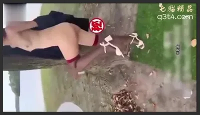姐弟乱伦骚姐姐户外露出勾搭失败回到家中色诱自己亲弟弟操逼
