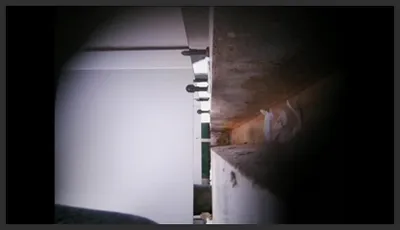 大神潜入商场厕所 前后景偷拍美女尿尿白白的大屁股