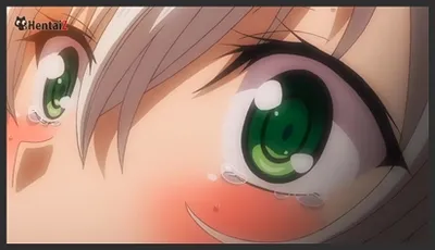 Love x holic miwaku no otome to hakudaku kankei – the animation 1