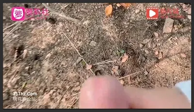 萝莉社.爬山偶遇黑丝御姐兽性大发-嘉洛