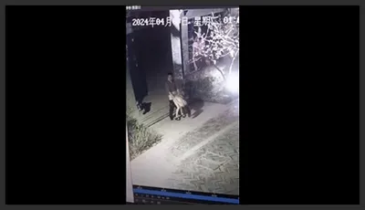 Secretly filmed: Couple having sex openly on the sidewalk at night