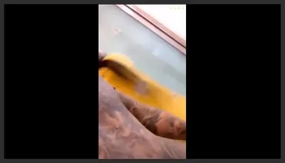 当着女友面操闺蜜全程高能女友一会出来偷看一下最后还内射还帮忙递纸巾