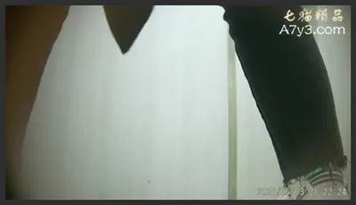 服装城女蹲厕高端设备近景超清偸拍一波接一波气质小姐姐方便 菊花鲍鱼一清二楚视觉盛宴