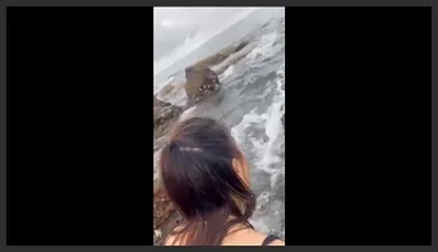 Fucking doggy style with my big-butt, slutty girlfriend on the beach