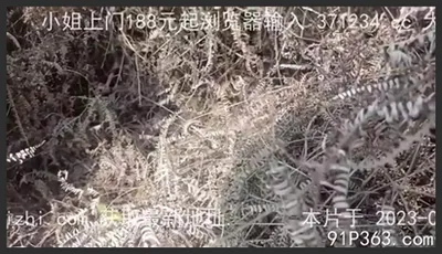 野外露出性愛看着老婆被幹到口爆吞精（約泡看間介）