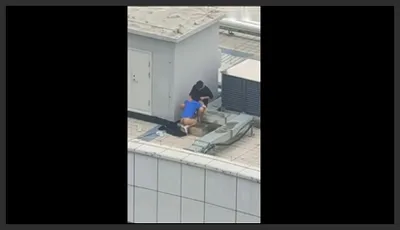 On the rooftop, they had sex.