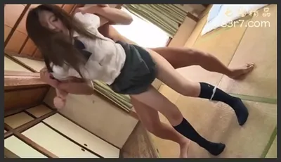 家养的宠物